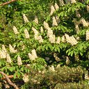 ���������� ������� �� ������� ���� ����������