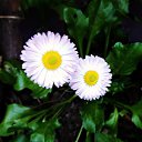 ���� ������� �., ����� - ��������� 22 ������� 2013 � ������ �������