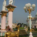  , -, 50  -  11  2014    2013