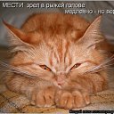 �� ����� ����!)) �� ������� ���� ����������