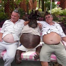 ��������, �����������, 69 ���