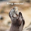 ���� ����, ��������� - ��������� 27 ������� 2014 � ������ ������ ��������