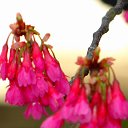 ���� ������, �����-���������, 61 ��� - ��������� 10 ����� 2014 � ������ ��������� ������, ������ 2012�