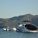  , , 54  -  7  2014       2013