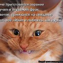 ���� ������, ������ - ��������� 23 ������� 2013 � ������ �������