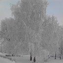 ���� �������, ������ - ��������� 12 ������� 2013