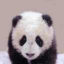 ���� ?Rjo, ������-����, 63 ���� - ��������� 8 ������ 2013 � ������ ���� ����������