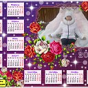 ���� ����, ����� - ��������� 18 ������ 2014 � ������ ���� ����������