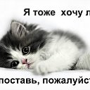  ,  -  19  2013    