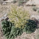 ���� �����, �������, 68 ��� - ��������� 29 ������ 2013 � ������ ����� ��������