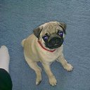 ���� �����, �����-���������, 57 ��� - ��������� 5 ������� 2014 � ������ ���� ����������