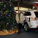 ���� �������, ������� - ��������� 24 ������� 2013 � ������ ���� ����������