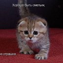 ���� �����, ��������� - ��������� 16 ������ 2013 � ������ ��������