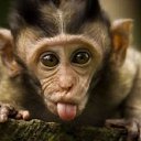 ���� ����, �����������, 47 ��� - ��������� 25 ������ 2013