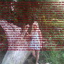 ���� ����, ���, 46 ��� - ��������� 12 ������ 2013 � ������ ������-��� ����ܻ