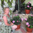  , , 56  -  19  2013   -2013