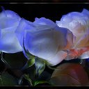 ���� ����� ������������, ������������ - ��������� 9 ����� 2014 � ������ ������ ��������