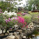 ���� ����, ��������, 62 ���� - ��������� 2 ����� 2014 � ������ ������ � ������� 2014.�