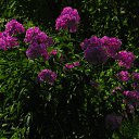 ���� ������, ������ - ��������� 16 ������� 2014 � ������ ���� ����������