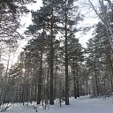  ,  -  6  2014    2014