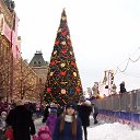 ���� ��������, �����, 73 ���� - ��������� 8 ������ 2014 � ������ ���� ����������