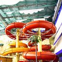 ���� ������, ���������, 38 ��� - ��������� 5 ������� 2013 � ������ ���� ����������