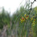 ���� ������ 72, ������������, 53 ���� - ��������� 30 ������� 2013 � ������ ������� �������