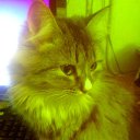 ���� �����, ������� - ��������� 13 ����� 2014 � ������ ������ ��������