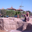 ���� �����, ������ - ��������� 26 ������� 2013 � ������ ���� ����������