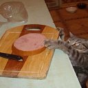 ���� ����, ������ - ��������� 5 ������� 2013 � ������ ���� ����������