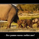 ���� �����, ��������, 59 ��� - ��������� 10 ����� 2014 � ������ ������ ��������