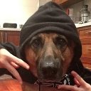 ���� �����, �������, 59 ��� - ��������� 28 ������� 2014 � ������ ���� ����������