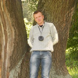 ���� ��������, ����, 38 ��� - ��������� 2 ������� 2013