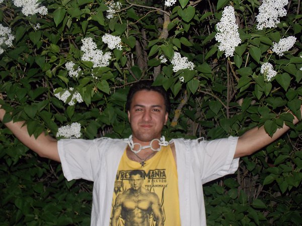  : ,,,, -  , 37 , 