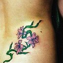  , , 42  -  25  2013   tatu