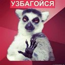 ���� ����, �������� - ��������� 24 ������ 2013 � ������ ���� ����������