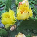 ���� �������, �������, 70 ��� - ��������� 20 �������� 2013 � ������ �������