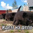 ���� ������(���� �� ����,���� ��� ����, ������ - ��������� 13 ����� 2014 � ������ ������ ��������