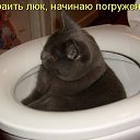 ���� ����, �����-���������, 46 ��� - ��������� 19 ������ 2014 � ������ ���� ����������