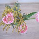 ���� ������, �����������, 73 ���� - ��������� 10 ����� 2014 � ������ ���� ����������