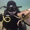 ���� �������, �������-�����, 52 ���� - ��������� 21 ������ 2014 � ������ ���� ����������