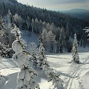 ���� ������ ����������, ����������, 78 ��� - ��������� 20 ������ 2014 � ������ ������� ��������. ��������.�