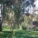 ���� Parfena, �����, 71 ��� - ��������� 2 ���� 2014 � ������ ������ ��������