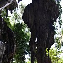     ,  -  18  2014    2013