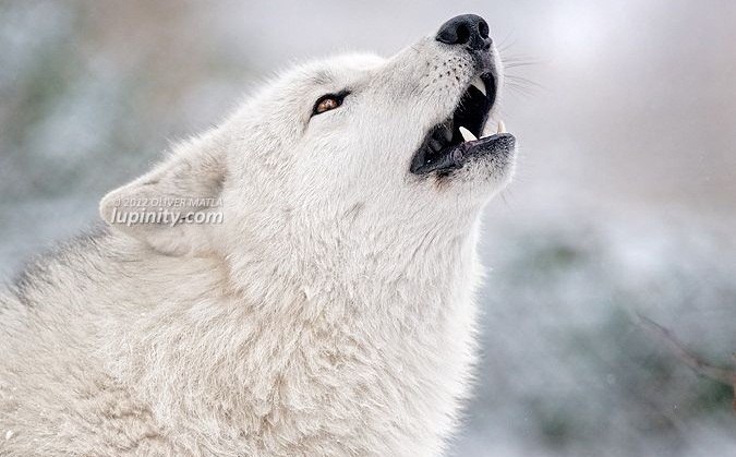 � ���� �������� - 6 ���� 2014 � 10:15 - 2