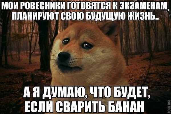   :3 - 5  2014  14:37