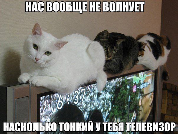     <a href=