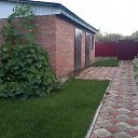 ���� �����, ���, 61 ��� - ��������� 8 ��� 2014 � ������ ���� ����������