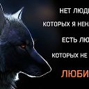 ���� ������ �������, ������, 64 ���� - ��������� 4 ��� 2014 � ������ ���� ����������