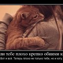 ���� ����, �������, 63 ���� - ��������� 10 ������� 2014 � ������ ������ ��������